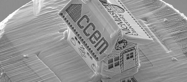 Канадец создал самый крошечный в мире «пряничный домик» с помощью электронного микроскопа - 俄罗斯卫星通讯社