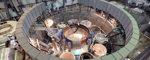 Ядерный реактор - 俄罗斯卫星通讯社