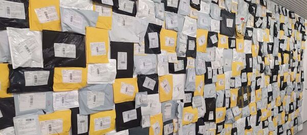 Проект студента Школы Родченко Ильи Колесникова «Бумажный тигр, пластиковый дракон» Проект студента Школы Родченко Ильи Колесникова «Бумажный тигр, пластиковый дракон» - 俄羅斯衛星通訊社