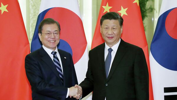 Встреча председателя КНР Си Цзиньпина и президента Южной Кореи Мун Чже Ина в Пекине - 俄羅斯衛星通訊社