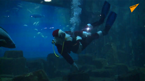 巴黎水族馆现圣诞老人潜水员 - 俄罗斯卫星通讯社