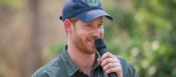 哈里王子扮成圣诞老人抚慰失去亲人的孩子 - 俄罗斯卫星通讯社