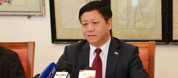 Посол КНР в РФ Чжан Ханьхуэй  - 俄罗斯卫星通讯社