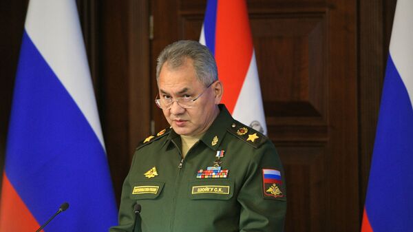 俄防長：俄羅斯今年必須密切關注美國部署中程和中短程導彈的情況 - 俄羅斯衛星通訊社