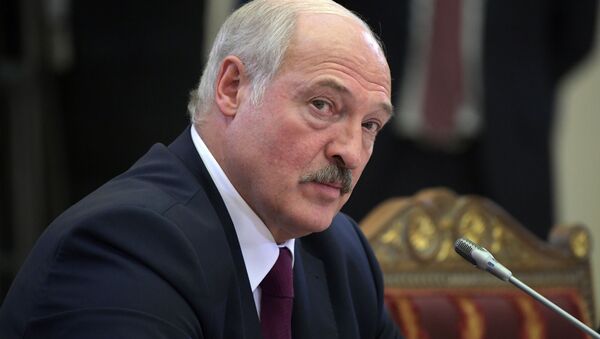 Президент Белоруссии Александр Лукашенко на неформальной встрече лидеров СНГ - 俄罗斯卫星通讯社
