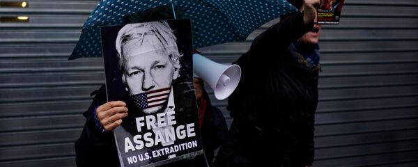 Демонстрация в поддержку Джулиана Ассанжа в Лондоне - 俄羅斯衛星通訊社