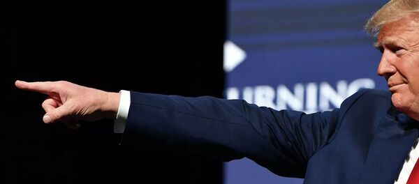 美国专家盘点特朗普2019年的主要政治成绩 - 俄罗斯卫星通讯社