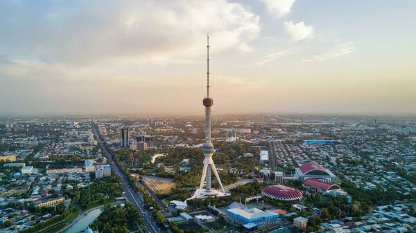 乌兹别克斯坦首都塔什干 - 俄罗斯卫星通讯社