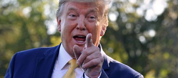 Дональд Трамп во время встречи с прессой в Вашингтоне - 俄罗斯卫星通讯社