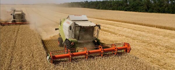 Уборка пшеницы в Краснодарском крае. - 俄罗斯卫星通讯社