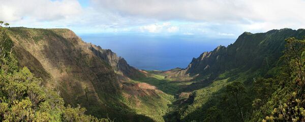 美國夏威夷州考艾島Kōkeʻe地區 - 俄羅斯衛星通訊社
