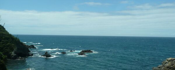 Вид на Японское море Вид на Японское море - 俄罗斯卫星通讯社