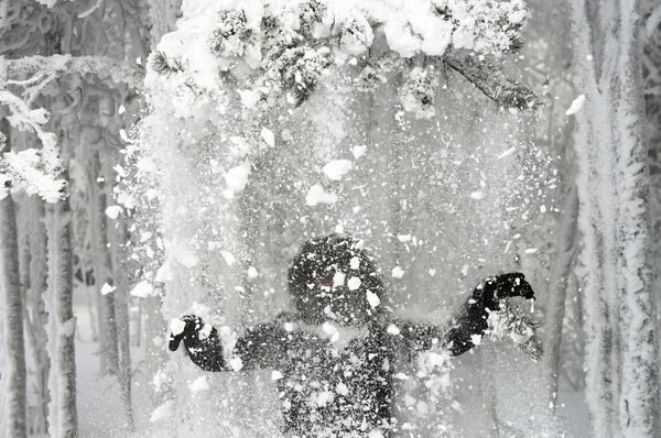 叶尼塞河畔童话般的雪景 - 俄罗斯卫星通讯社