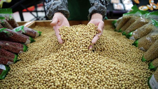 1-4月黑龙江省自俄罗斯进口大豆26.2万吨 同比增加11.8% - 俄罗斯卫星通讯社