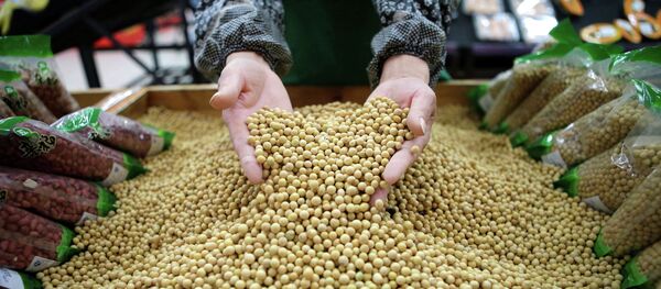 Соевые бобы - 俄罗斯卫星通讯社