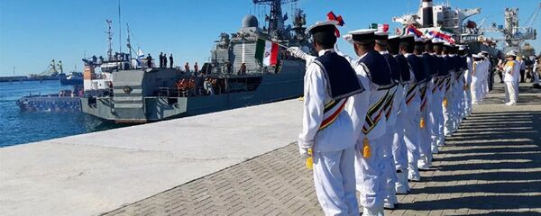 俄驻伊朗前大使：俄中伊伙伴关系是对美国的遏制因素之一 - 俄罗斯卫星通讯社