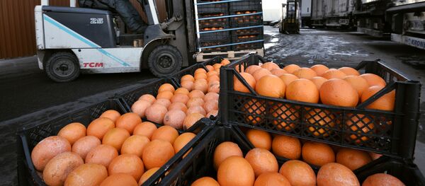Грейпфруты на складе - 俄羅斯衛星通訊社