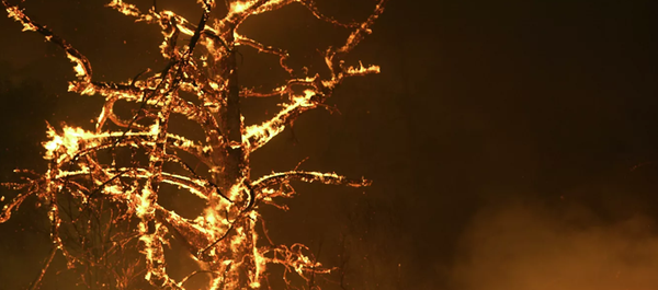 澳大利亚军方出动机舰解救大量被山火围困的居民 澳大利亚军方出动机舰解救大量被山火围困的居民 - 俄罗斯卫星通讯社