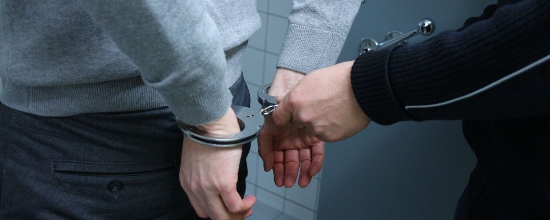 歐洲刑警組織：超800名犯罪分子在大型國際行動中被捕 - 俄羅斯衛星通訊社, 1920, 08.06.2021