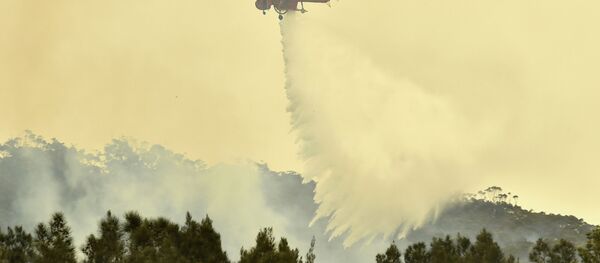 Австралия пожар - 俄罗斯卫星通讯社