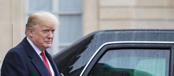 Встреча Э. Макрона и Д. Трампа в Париже - 俄羅斯衛星通訊社