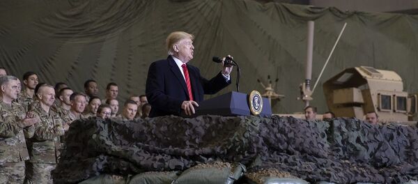 Неанонсированный визит Д. Трампа в Афганистан - 俄罗斯卫星通讯社