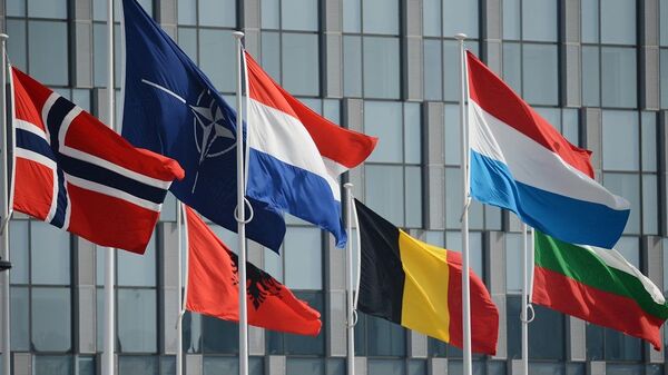 НАТО - 俄羅斯衛星通訊社