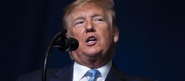 Президент США Дональд Трамп - 俄罗斯卫星通讯社