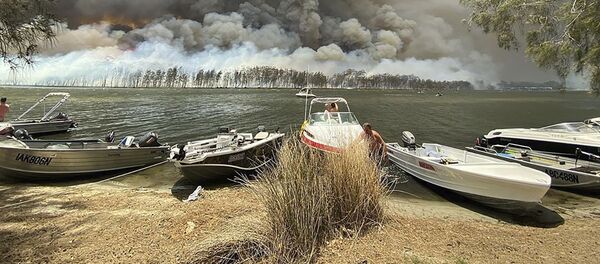 Австралия - 俄罗斯卫星通讯社