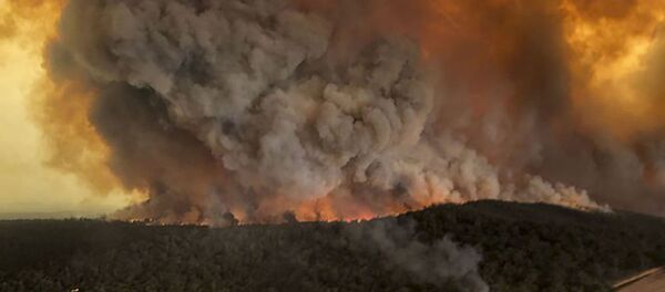 Пожары в Австралии  - 俄罗斯卫星通讯社