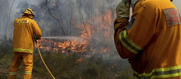 媒体：澳大利亚一架救火飞机坠毁 3人遇难 - 俄罗斯卫星通讯社