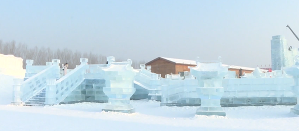俄罗斯代表队在哈尔滨冰雕比赛中获一等奖 俄罗斯代表队在哈尔滨冰雕比赛中获一等奖 - 俄罗斯卫星通讯社