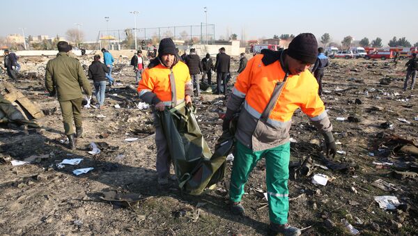 Спасатели на месте крушения самолета в Иране - 俄羅斯衛星通訊社