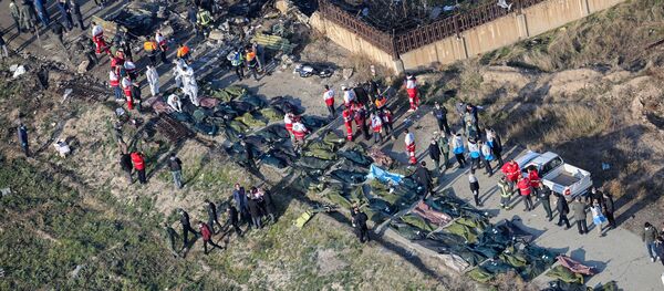 На месте крушения самолета в Иране - 俄罗斯卫星通讯社