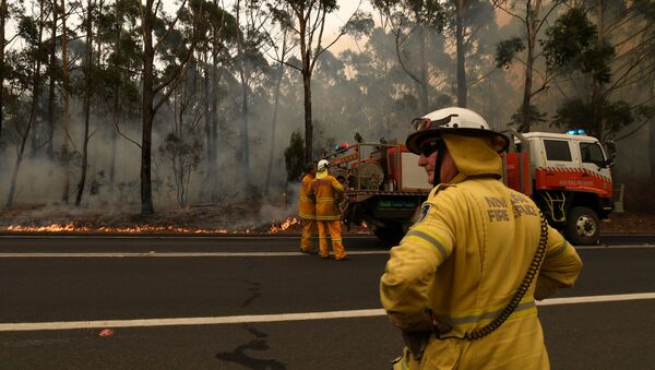 澳大利亞首都地區因森林大火而宣佈實施緊急狀態 - 俄羅斯衛星通訊社