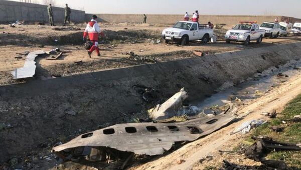 基辅方面称波音客机在伊朗的坠机现场被推土机清理过 - 俄罗斯卫星通讯社