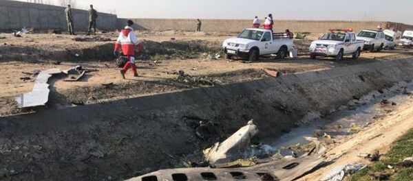 На месте крушения пассажирского лайнера Украины Boeing 737-800 - 俄罗斯卫星通讯社