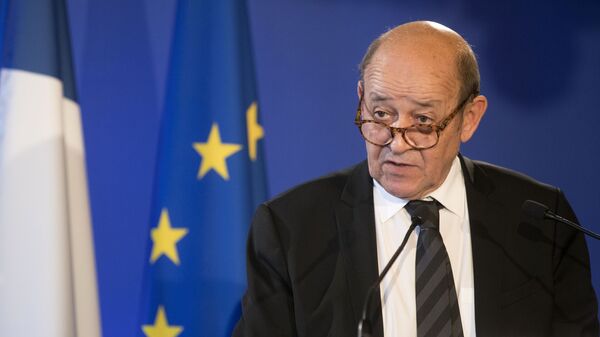 Министр иностранных дел Франции Жан-Ив Ле Дриан - 俄羅斯衛星通訊社
