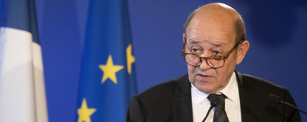 Министр иностранных дел Франции Жан-Ив Ле Дриан - 俄罗斯卫星通讯社