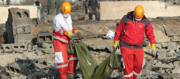 烏克蘭內務部：德黑蘭附近波音飛機空難的原因將由伊朗確定 - 俄羅斯衛星通訊社