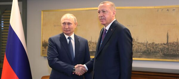 Путин и Эрдоган проводят переговоры в Стамбуле - 俄罗斯卫星通讯社