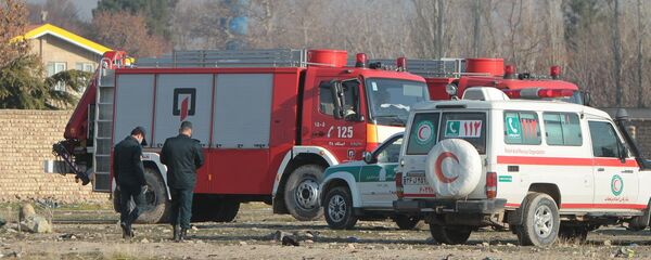 На месте крушения пассажирского лайнера Украины Boeing 737-800 - 俄罗斯卫星通讯社