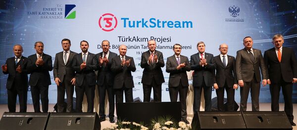 Рабочий визит президента РФ В. Путина в Турцию Рабочий визит президента РФ В. Путина в Турцию - 俄罗斯卫星通讯社