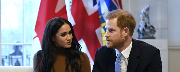 哈里王子和梅根 - 俄罗斯卫星通讯社