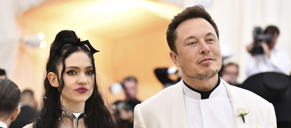 埃隆·马斯克女友被疑怀孕 - 俄罗斯卫星通讯社