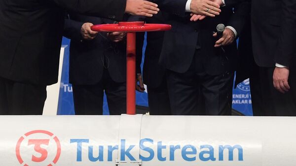 “土耳其溪”天然气管道 - 俄罗斯卫星通讯社