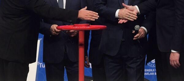 На церемонии официального открытия газопровода Турецкий поток в Стамбуле - 俄罗斯卫星通讯社