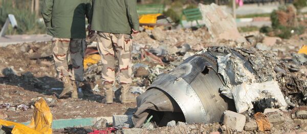 На месте крушения пассажирского лайнера Украины Boeing 737-800 - 俄罗斯卫星通讯社