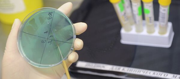 Лаборатория - 俄羅斯衛星通訊社