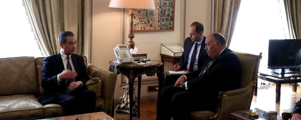 Глава МИД КНР Ван И с египетским коллегой Самехом Шоукри - 俄罗斯卫星通讯社